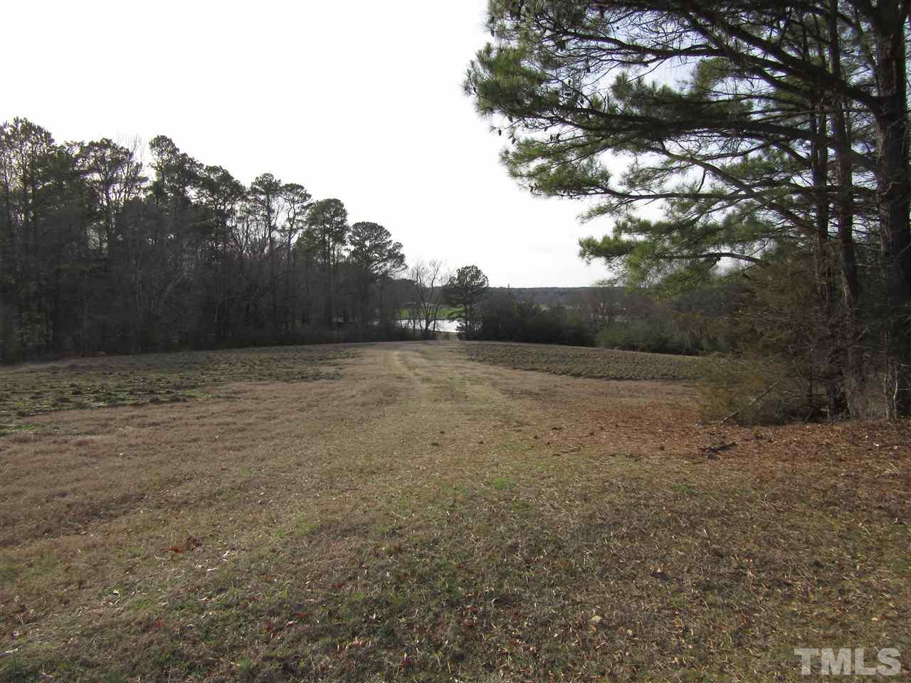 Lot 5 Jack Mitchell Road Zebulon, NC 27597 - Photo 3 of 4 Gallery Image 3
