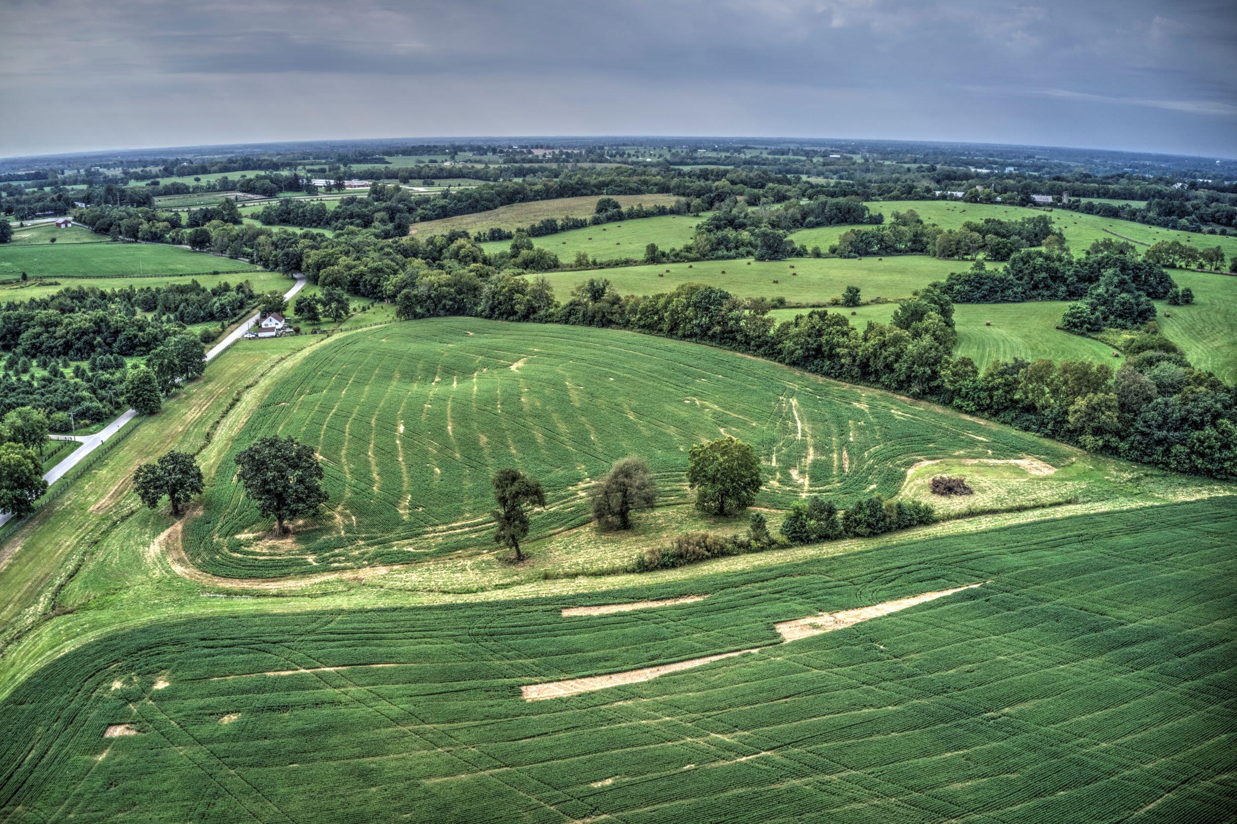 250 Redmon Road Paris, KY 40361 - Photo 4 of 22 DJI_0518 250 Redmon Road Paris resized