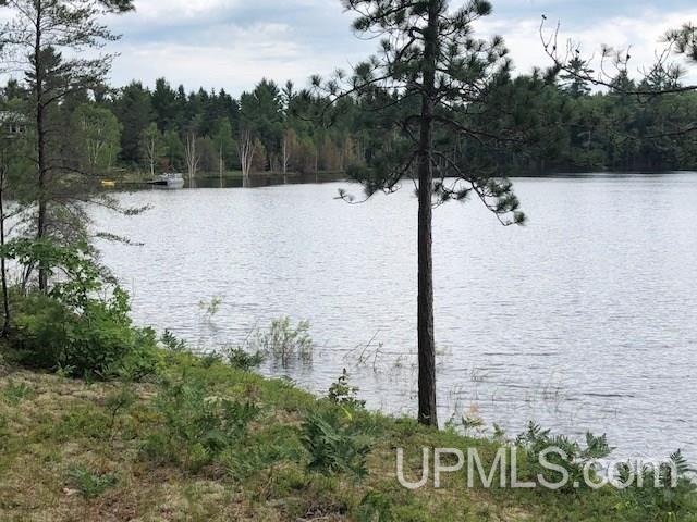 Tbd Adams Trail Seney, MI 49883 - Photo 6 of 16