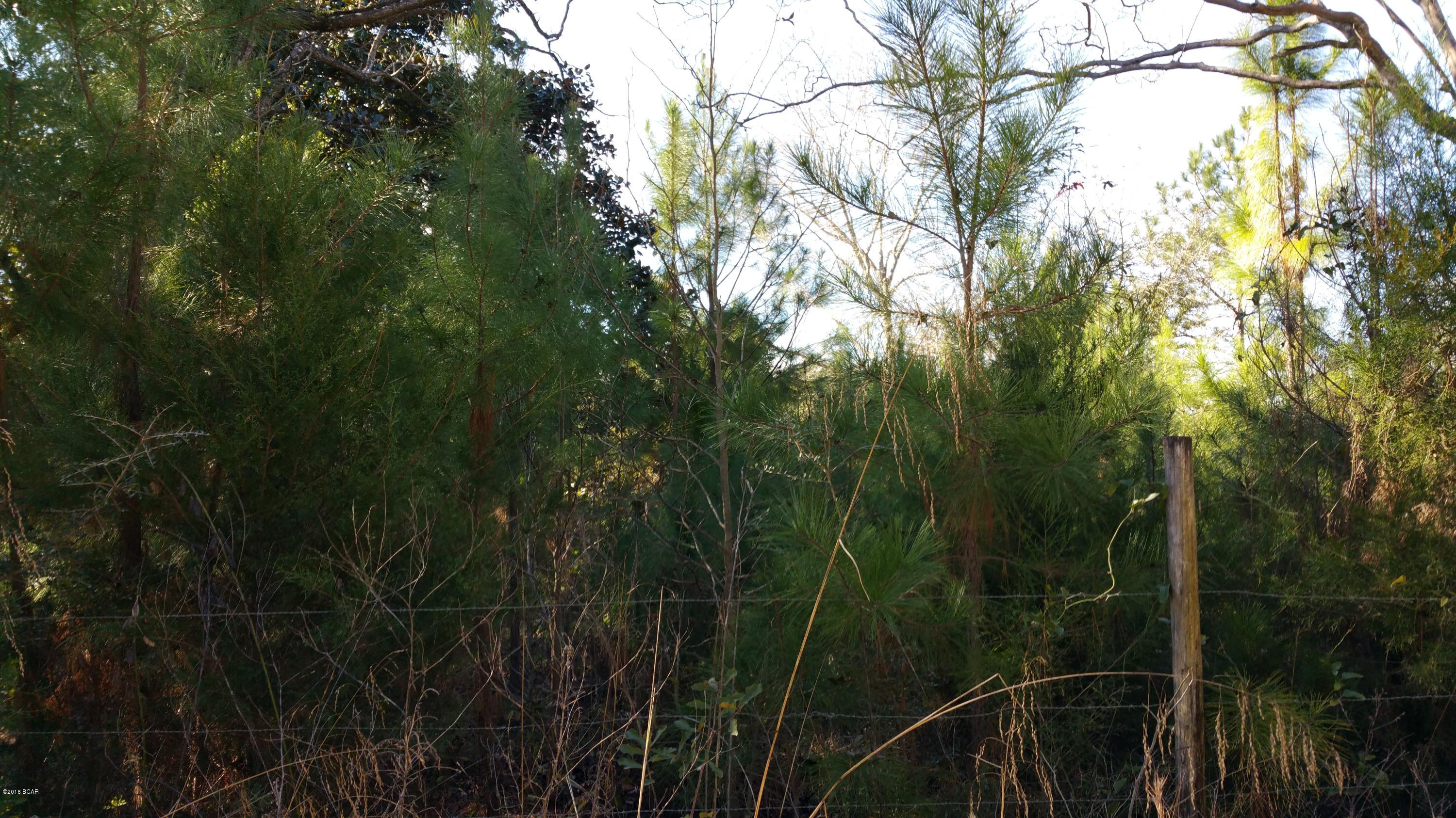 0 Davidson Road Bonifay, FL 32425 - Photo 4 of 4