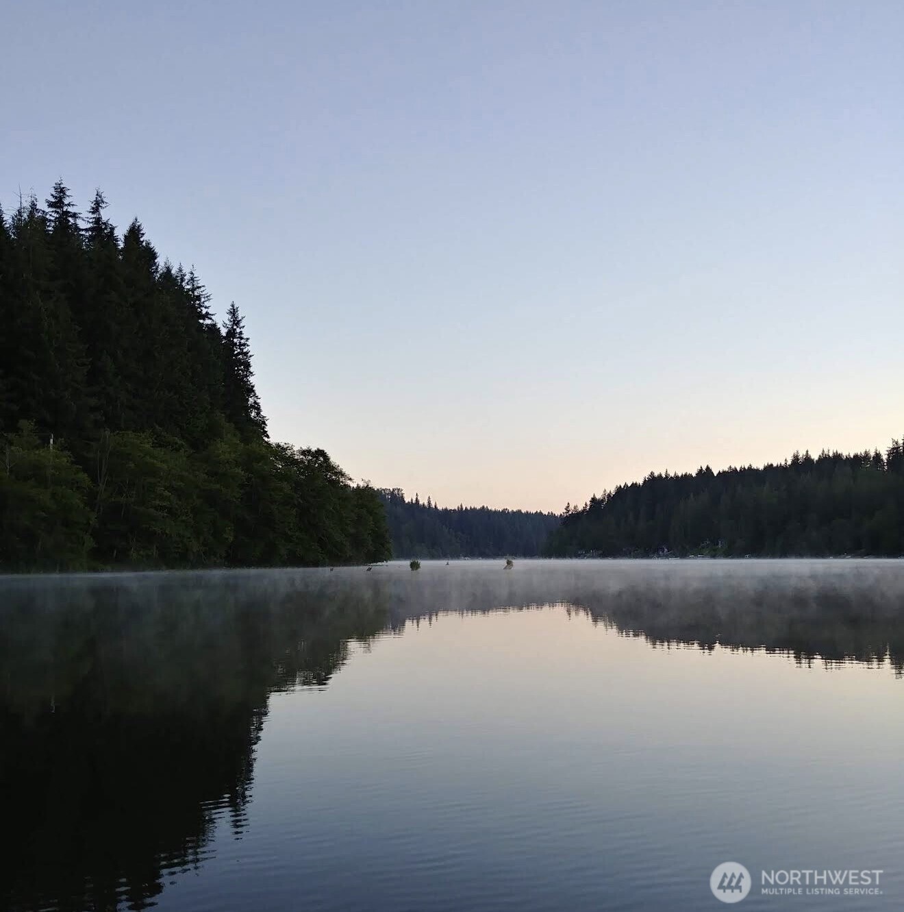 0 Orville Road East Eatonville, WA 98328 - Photo 11 of 19