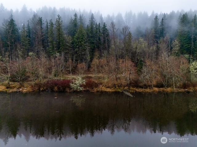 0 Orville Road East Eatonville, WA 98328 - Photo 2 of 19