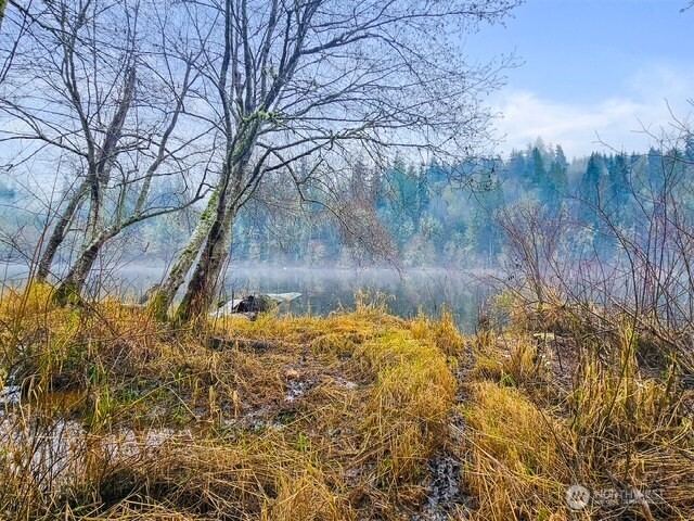 0 Orville Road East Eatonville, WA 98328 - Photo 4 of 19