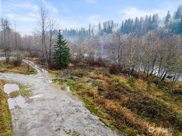 0 Orville Road East Eatonville, WA 98328 - Photo 5 of 19