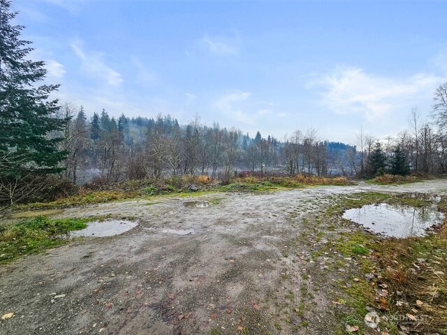 0 Orville Road East Eatonville, WA 98328 - Photo 7 of 19