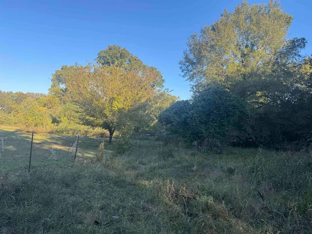 a view of a yard with an outdoor space