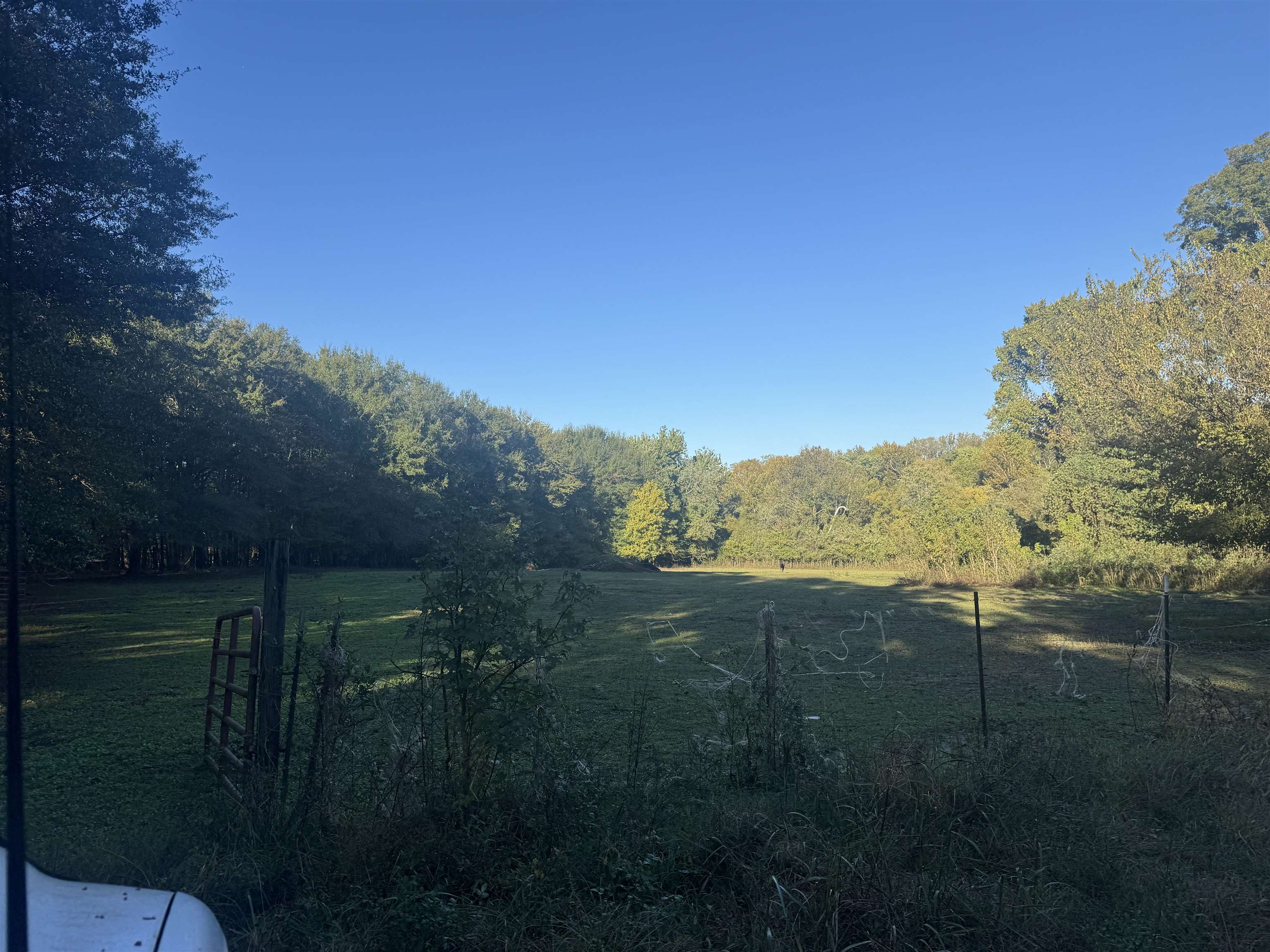 4800 Old Raleigh Millington Road Memphis, TN 38128 - Photo 2 of 21 a view of a lush green outdoor space with a swimming pool