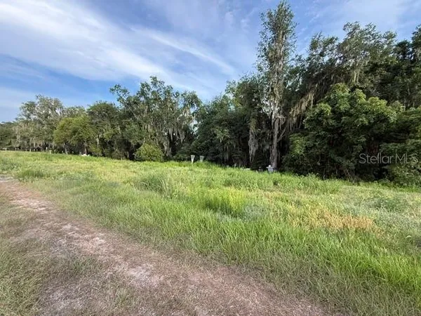 a view of a field with a tree in it
