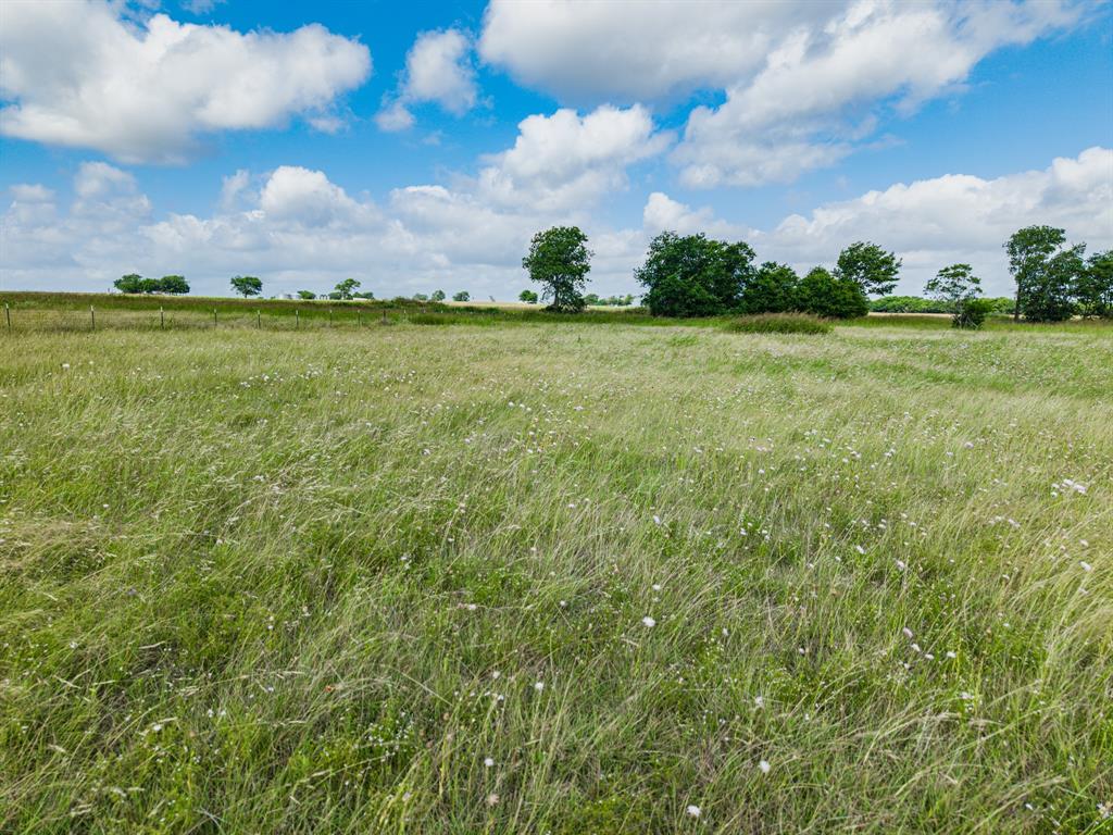 295 Turkey Run Road Crawford, TX 76638 - Photo 2 of 11