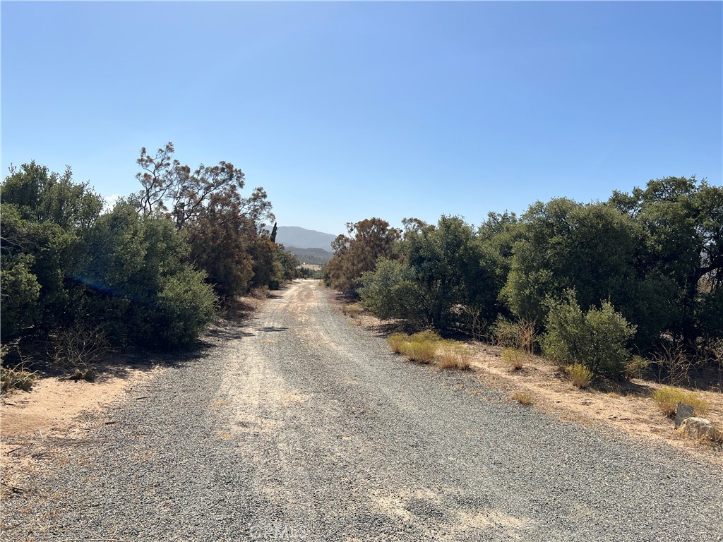 a view of a dirt road with trees in the background