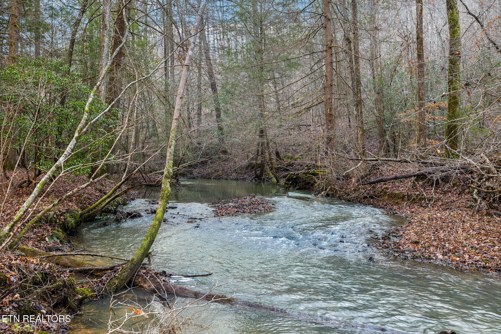 T27 West Robbins Road Robbins, TN 37852 - Photo 8 of 9 27 Pic 2