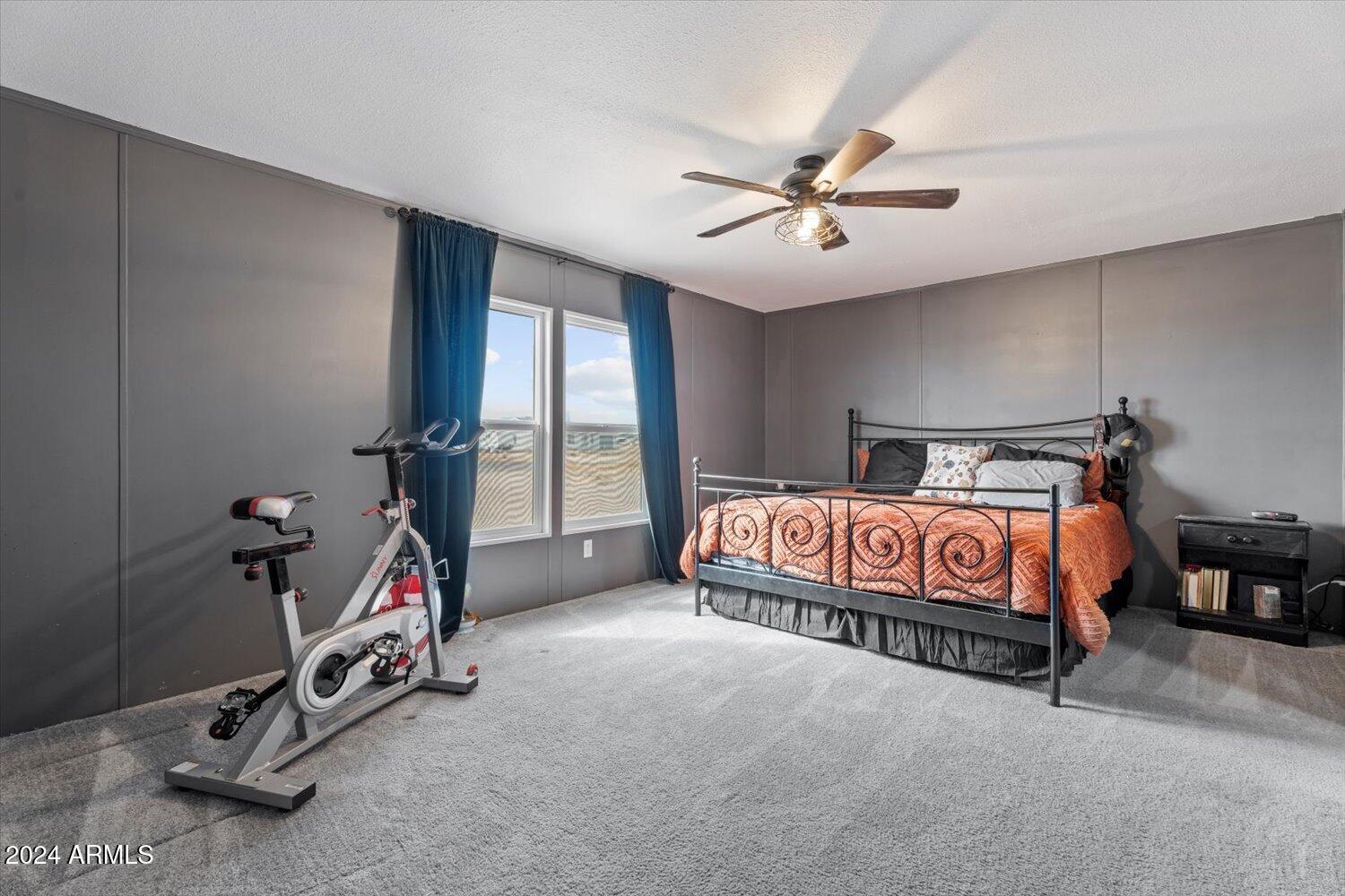 43658 West Reitz Ranch Road Stanfield, AZ 85172 - Photo 8 of 39 14-A7400579