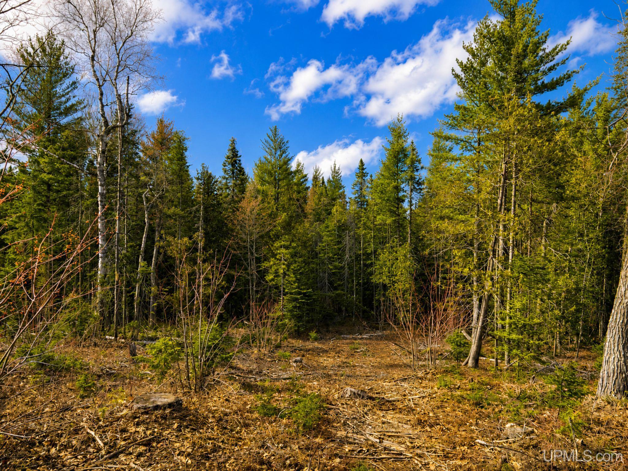 410 Rd Newberry Mi 49868 Road Newberry, MI 49868 - Photo 20 of 36