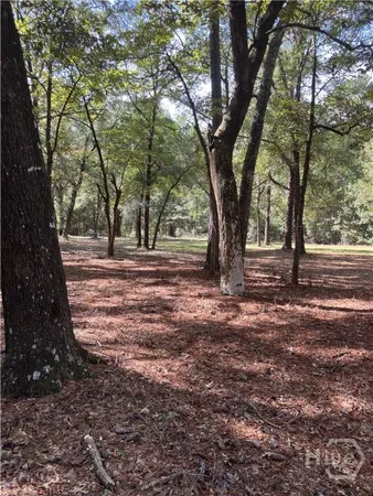 $175,000 | 392 Reiser Road, Springfield, GA 31329