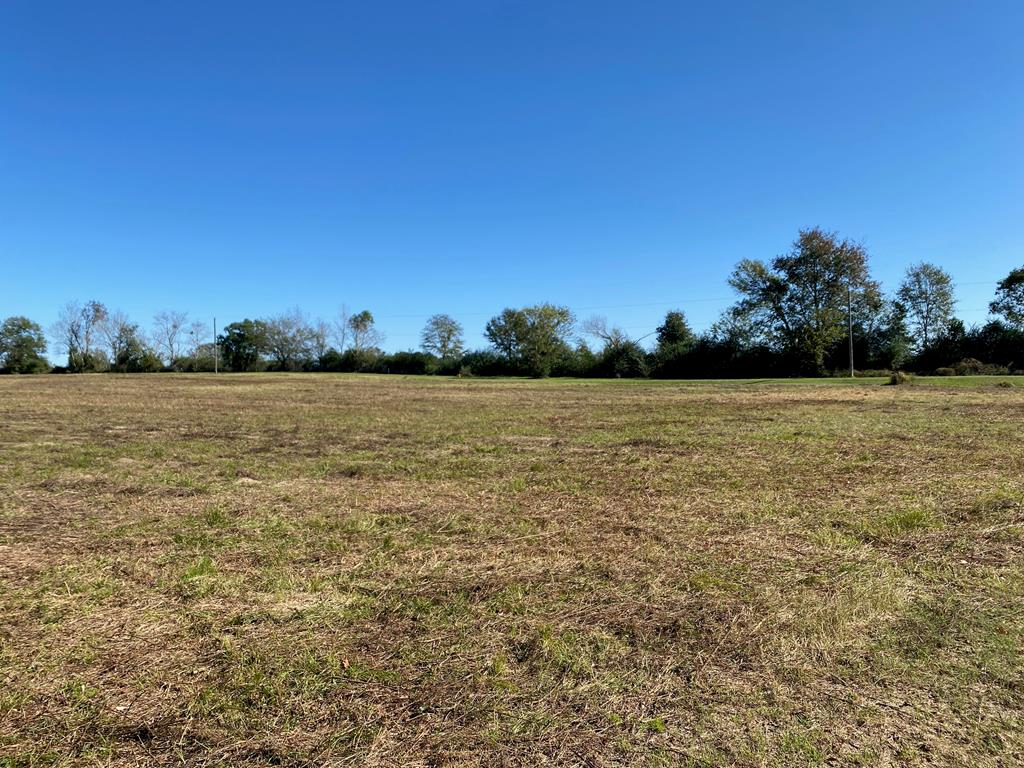 0 Ashford Road Ashford, AL 36312 - Photo 1 of 1