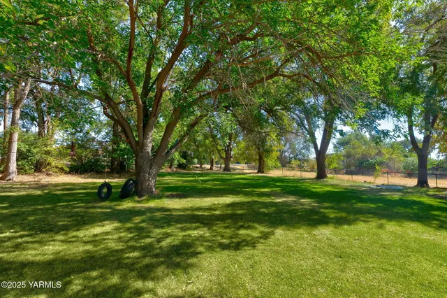 a big yard with lots of green space and trees