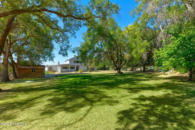 a view of a playground with a tree