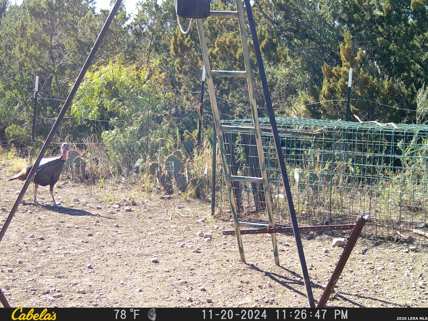 21 North High Lonesome Road Comstock, TX 78837 - Photo 18 of 20