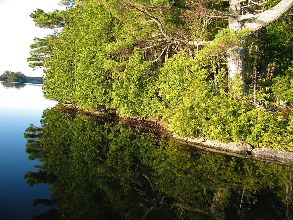 21 Pond Road Seal Cove, ME 04674 - Photo 18 of 19 Photo