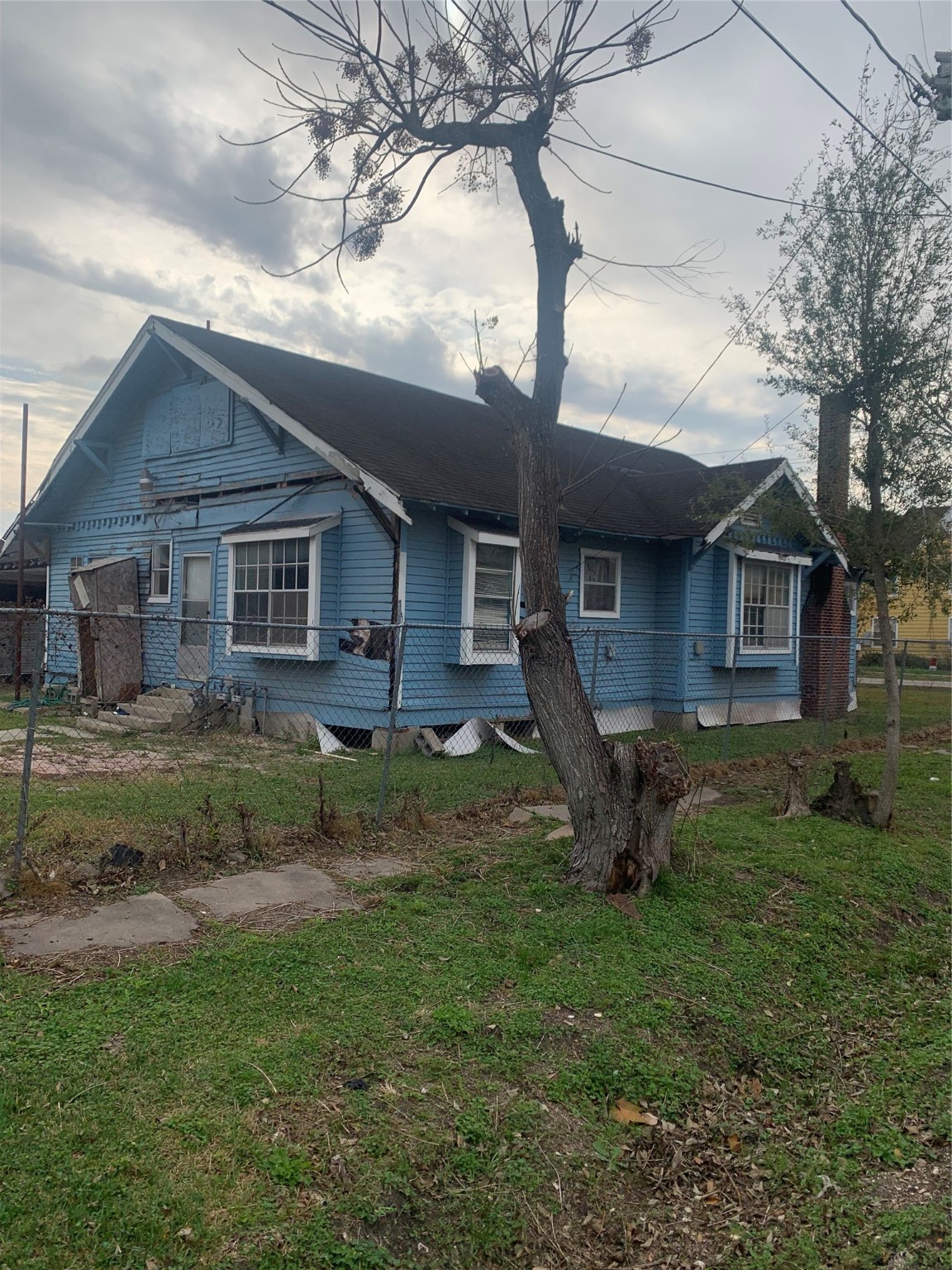 5001 Sherman Street Houston, TX 77011 - Photo 3 of 23 a backyard of a house with plants and large tree