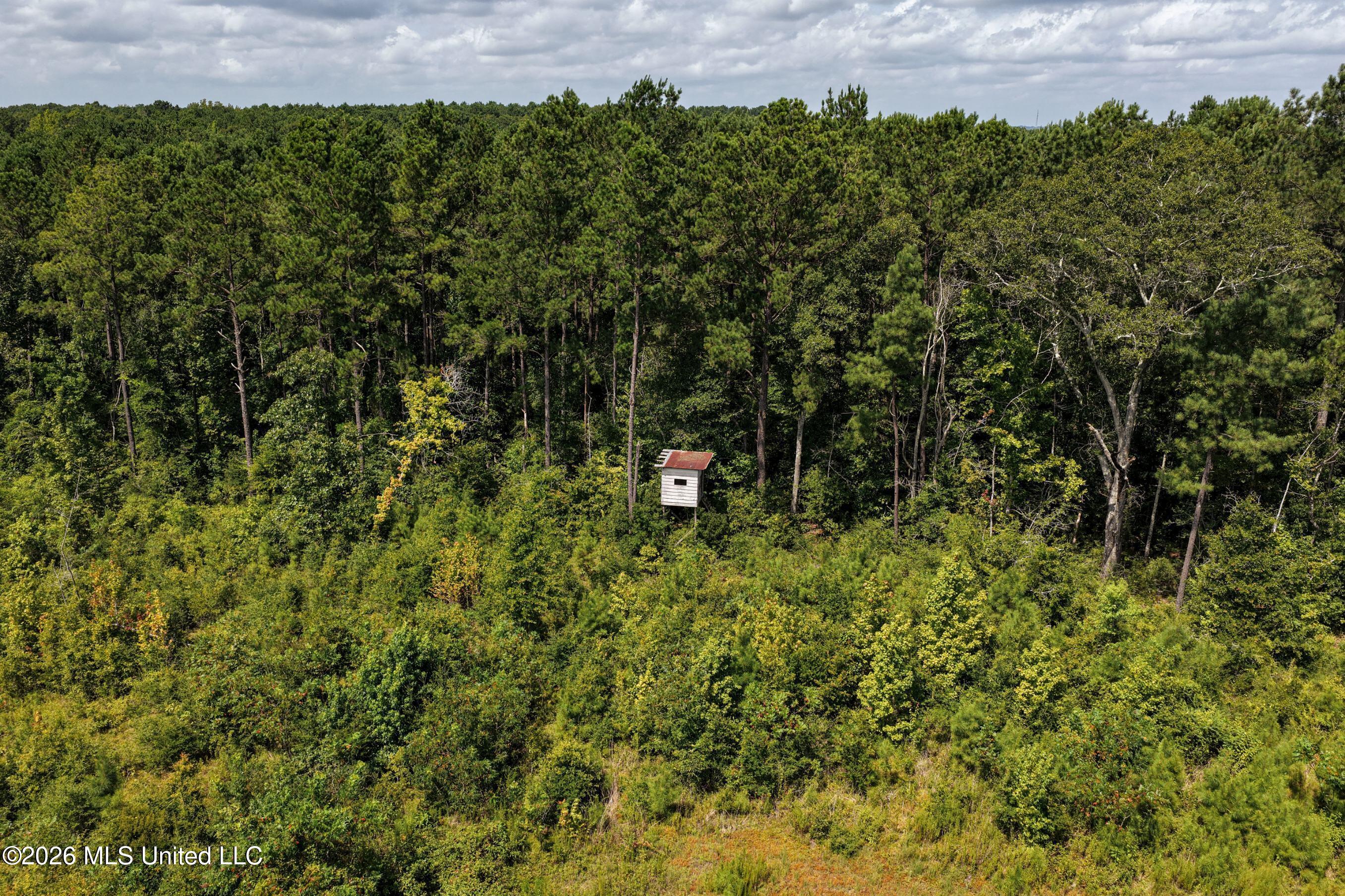 226 Van Holmes Road Tylertown, MS 39667 - Photo 14 of 27 DJI_20260723111029_0116_D