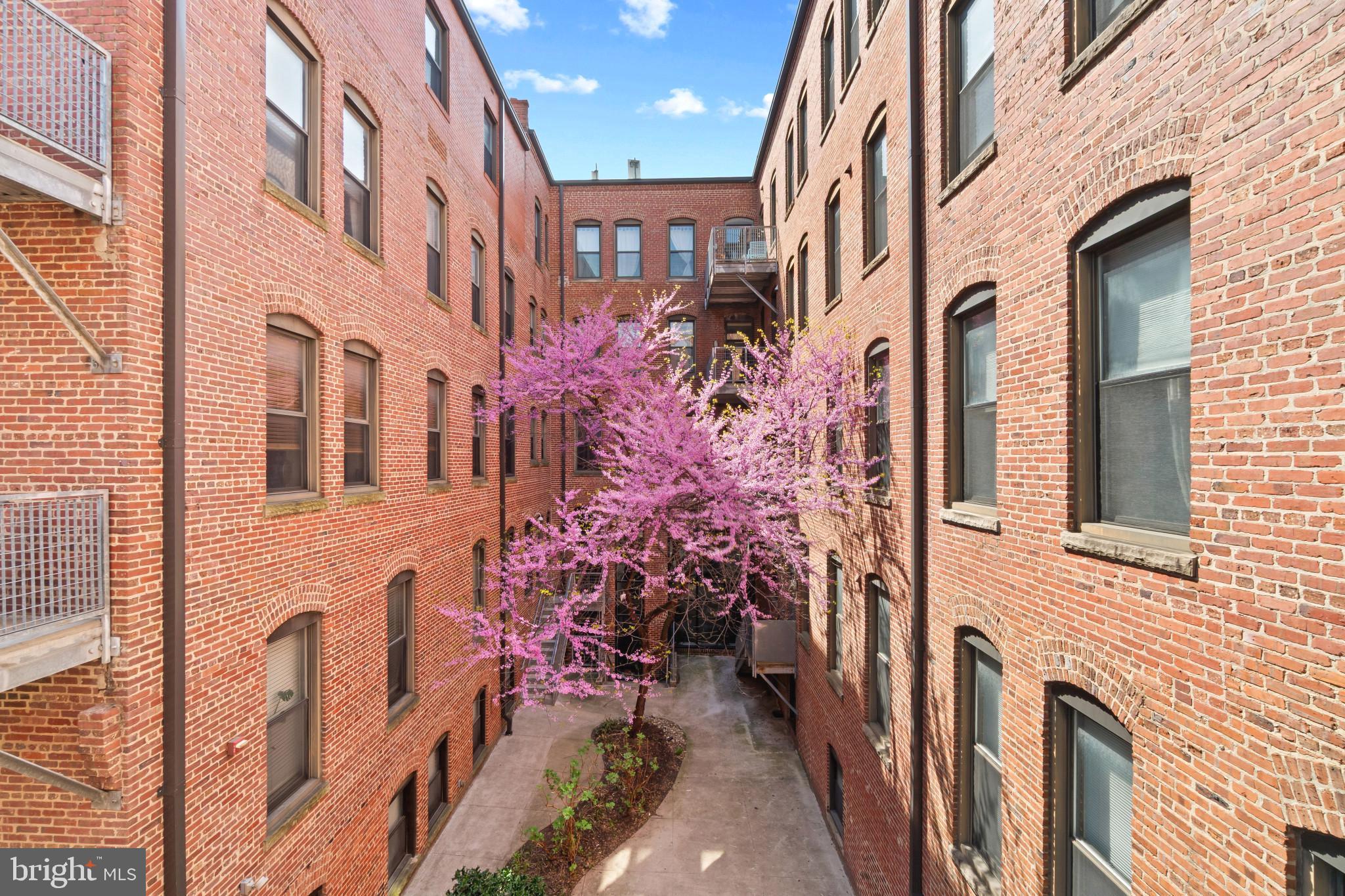 1211 Light Street, Unit 211 Baltimore, MD 21230 - Photo 16 of 40 Private Balcony Courtyard View