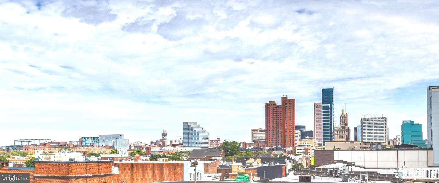 1211 Light Street, Unit 211 Baltimore, MD 21230 - Photo 26 of 34 Community Roof Deck With Skyline Views
