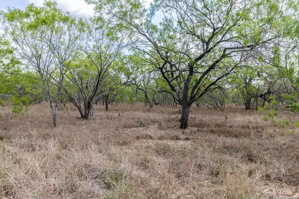 a view of backyard with a seating space