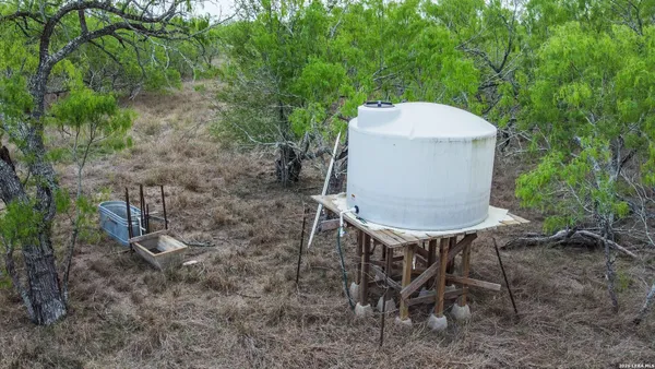 a view of a yard with large trees