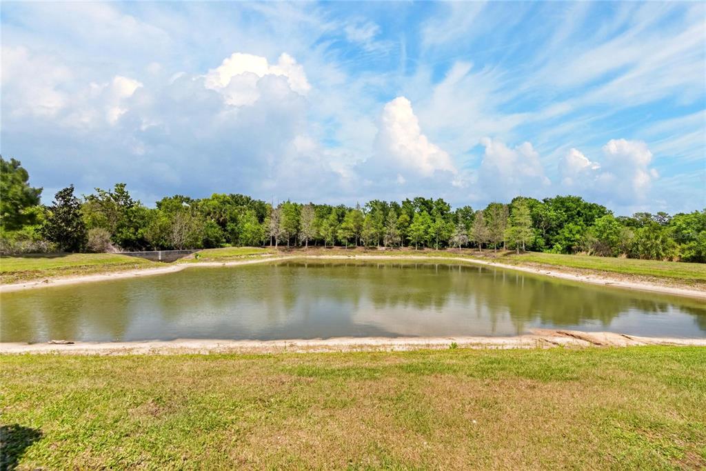 8850 Indigo Trail Loop Riverview, FL 33578 - Photo 4 of 72