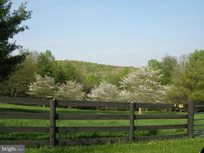 5282 Pond Mountain Road Broad Run, VA 20137 - Photo 15 of 30 BREATHTAKING VIEWS FROM ALL PASTURES.