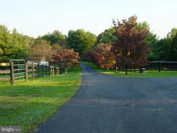 5282 Pond Mountain Road Broad Run, VA 20137 - Photo 20 of 30 GORGEOUS TREE-LINED PRIVATE DRIVEWAY ENTRANCE!