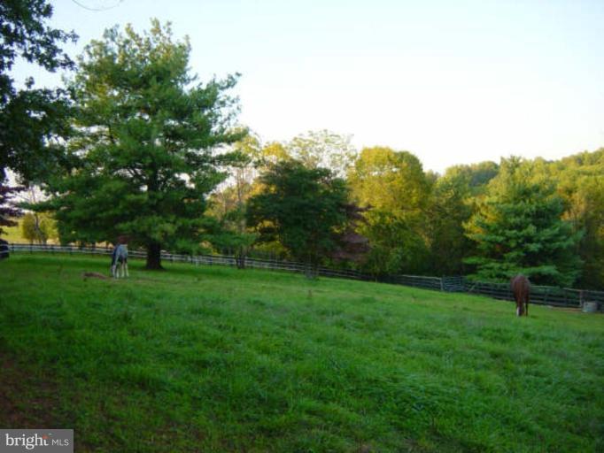 5282 Pond Mountain Road Broad Run, VA 20137 - Photo 22 of 30 GORGEOUS IRISH GREEN PASTURES ALL WELL-MAINTAINED