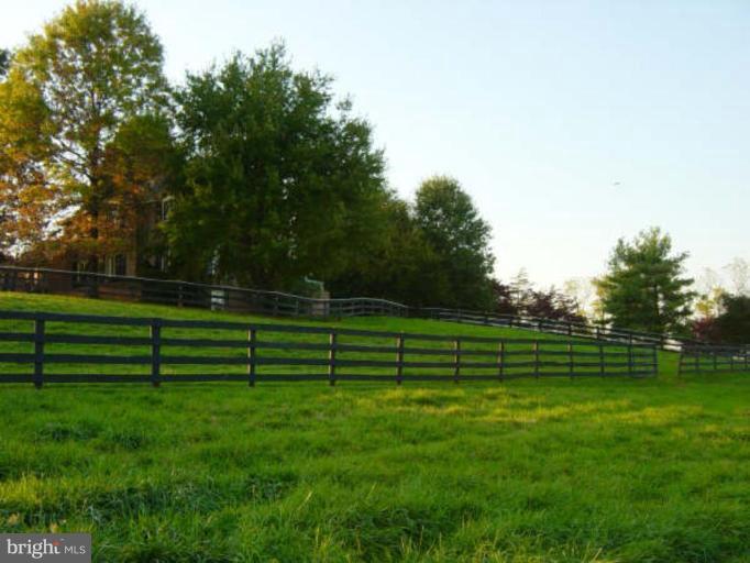 5282 Pond Mountain Road Broad Run, VA 20137 - Photo 23 of 30 MORE LUSCIOUS PASTURE AREAS & PADDOCKS ON FRONT.