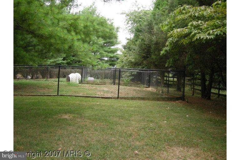 5282 Pond Mountain Road Broad Run, VA 20137 - Photo 6 of 30 Professional Dog Kennels available for six dogs!