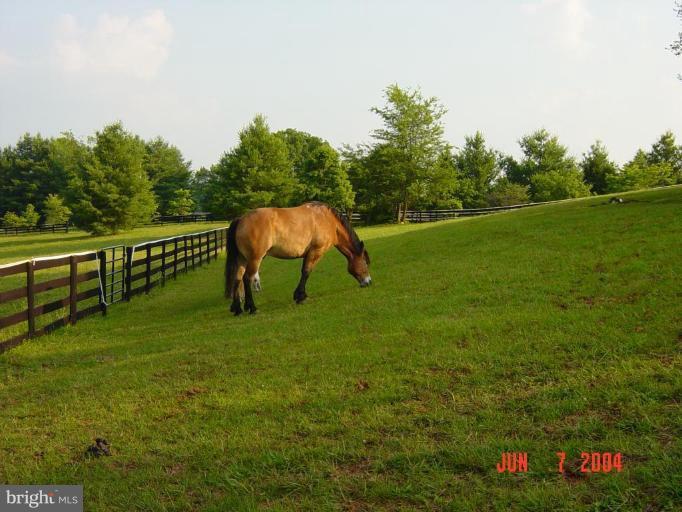 5282 Pond Mountain Road Broad Run, VA 20137 - Photo 10 of 30 Irish Green Pastures Surround This Lovely Farm
