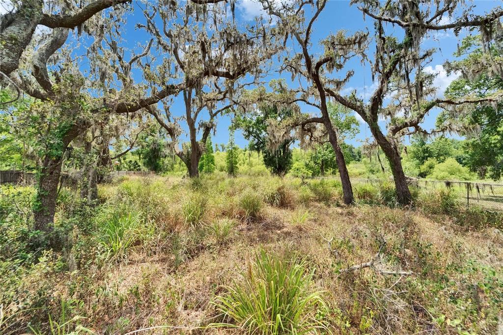 13907 Raulerson Road, Unit PARCEL A Riverview, FL 33569 - Photo 30 of 30 a view of yard with green space