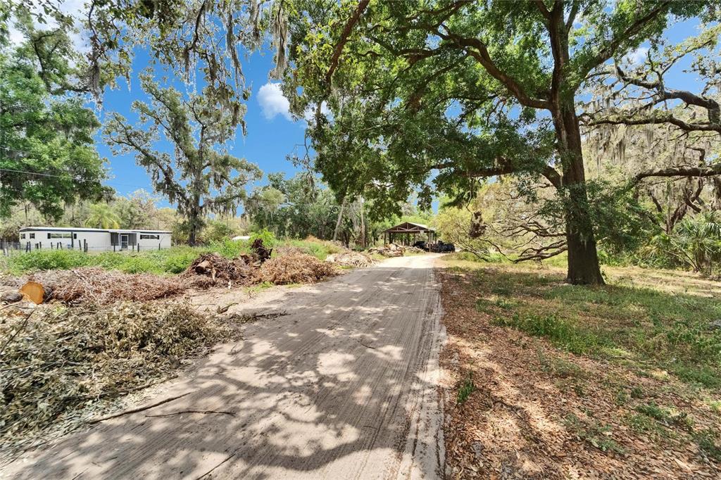 13907 Raulerson Road, Unit PARCEL A Riverview, FL 33569 - Photo 6 of 30 a view of dirt yard with a tree