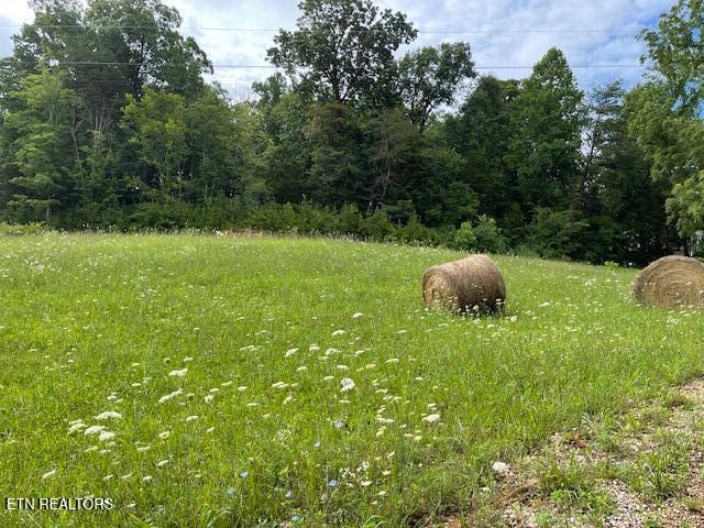 361 Walnut Creek Road White Pine, TN 37890 - Photo 41 of 43 IMG_2012 (1)
