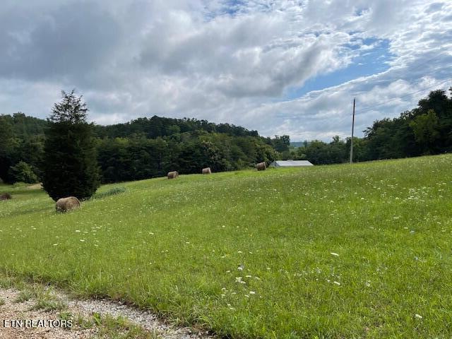 361 Walnut Creek Road White Pine, TN 37890 - Photo 43 of 43 IMG_2011 (1)