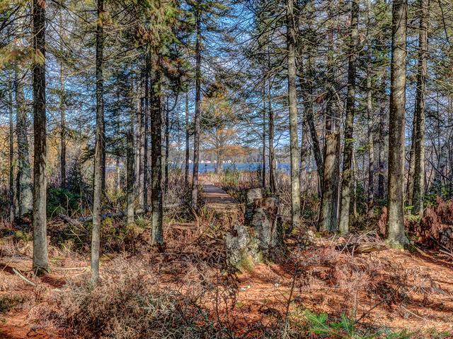 Near1594 Dollar Lake Road Eagle River, WI 54521 - Photo 5 of 16 Gallery Image 5