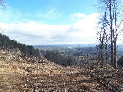 Tbd Bainbridge Road Fries, VA 24330 - Photo 20 of 23 Gallery Image 20