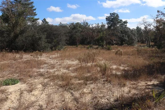 a view of a dry yard with trees in the background