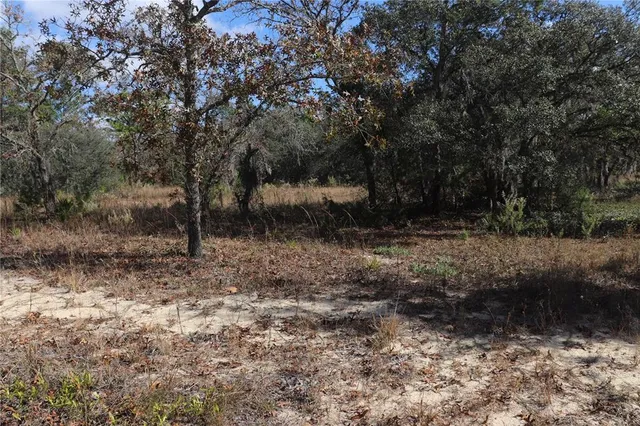 a view of backyard with green space