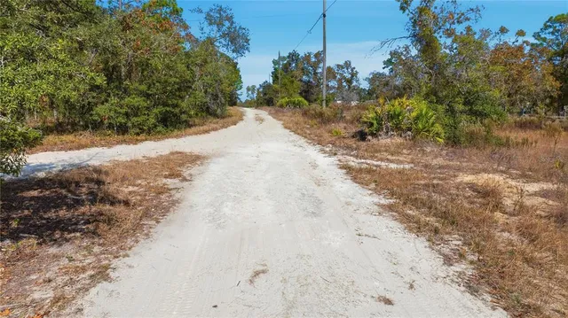 a view of a dirt road with trees in the background