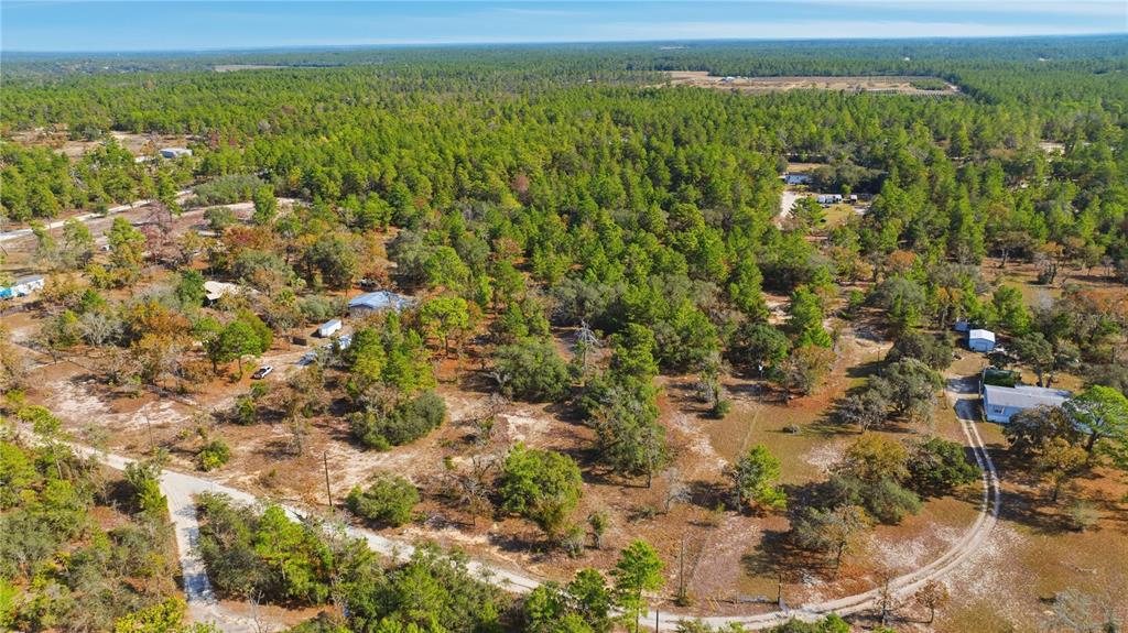 9097 North Peewee Point Dunnellon, FL 34433 - Photo 6 of 7 a view of a city with lush green forest