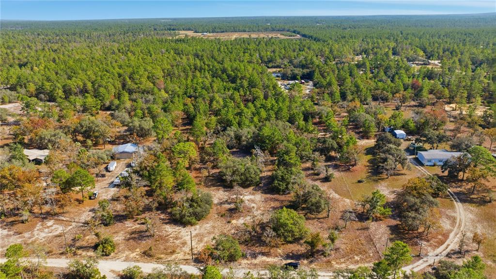 9097 North Peewee Point Dunnellon, FL 34433 - Photo 7 of 7 a view of a lush green field
