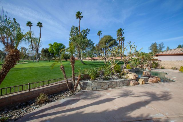 a view of a park with potted plants and large trees