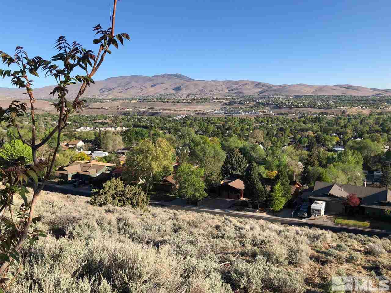 2093 Chanslor Circle Reno, NV 89509 - Photo 3 of 5 Photo 3