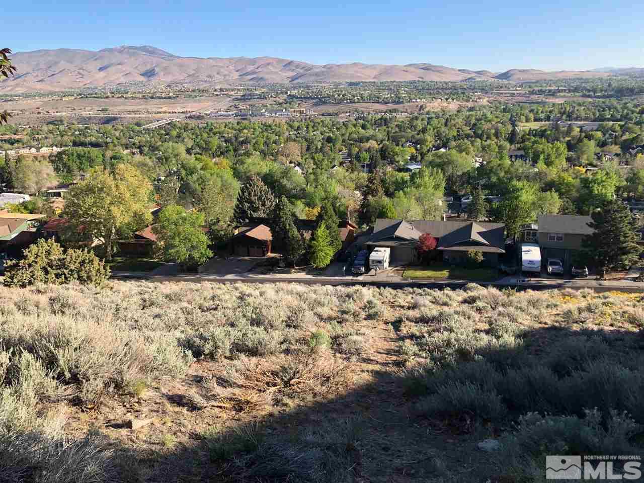 2093 Chanslor Circle Reno, NV 89509 - Photo 4 of 5 Photo 4